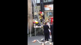 Firefighters applauded after seagull rescue in Liverpool