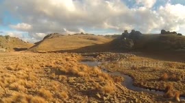 Farmer uses drone to muster herd of sheep