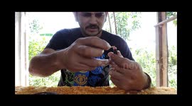 COMO CUIDAR DE UMA COBRA DOENTE