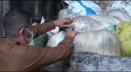 Indonesian police confiscate 17 tons of illegally produced pine resin