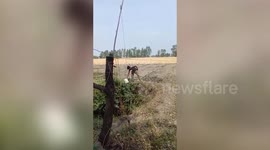 Young laborers quarantine outside village premises in central India