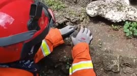 Evacuation of a Cat Trapped in a Ground Hole in Duren Sawit, East Jakarta, Indonesia