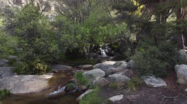 Waterfall with a lot of water and river and a lot of trees in a sunny day
