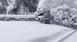 This day snow a lot with low temperatures. The snow causes a lot of problems