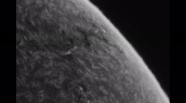 The new sunspots have reached the edge of the sun and I captured them in a 5 hour imaging session!