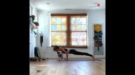 'Cuddly Dog Wants Kisses from Owner During her Yoga Session'