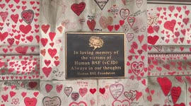Mad Cow Disease memorial plaque remains on St Thomas Hospital wall turned into The National COVID Memorial