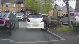 UK woman chases her car after it rolls backwards and almost smashes into her neighbour's HOUSE