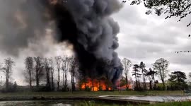 Platt's Eyot island bursts into flames on River Thames in Hampton, UK