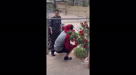 Sweet guy in New Mexico asks for a rose on his way to see his girlfriend