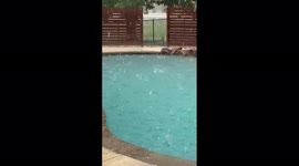 US: Tornado Warned Storm With Marble-Sized Hail Strikes Texas 4