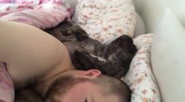 Snoring dog prevents owner from taking afternoon nap