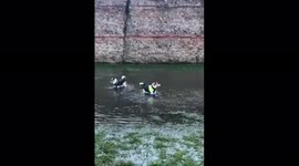 Adorable British Jack Russell splashing in water at Roman Fort