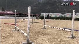 'Italian Girl's Horse-Riding Venture Ends with a Nasty Fall'