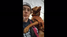 This lazy pooch insists on being carried by dog walker during long journeys