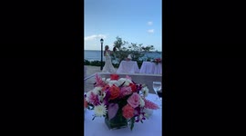 Catching vibes! Bride and dad decide to interrupt wedding dance for unorthodox game of catch