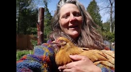 Training My Amazing Smart Chicken Buffy