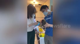 Packaged pets posted across China RESCUED by animal support officials
