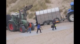 House of Dragon, A new young prince (with chaperone) gets a dedicated days filming. A new character unveiled. Cornwall UK