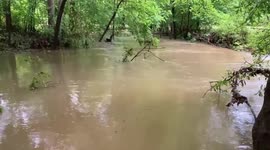 US: Heavy Rains Cause Massive Flooding Across Alabama