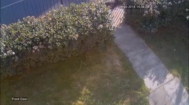 Parcel left by courier stolen, caught on CCTV.