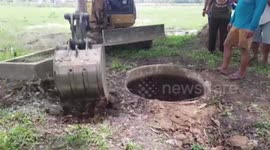 Albino buffalo rescued after falling into abandoned well while searching for food