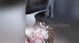 Gallons of milk thrown away by fans in controversial promo by Chinese TV show