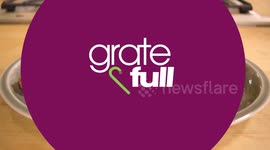 Try These Delicious and Crunchy Parmesan Zucchini Fries