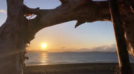 Watch this time-lapse of amazing sunset framed by driftwood in Washington State