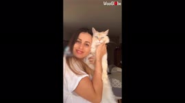 ''Leave Me Alone!' Adorable Cat isn't a Fan of the Standstill Challenge'