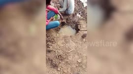 Locals drink water from puddle to cure Covid-19 infection in central India