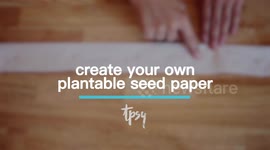 Using This Seed Tape Can Help You Perfectly Space Your Vegetables in Your Garden