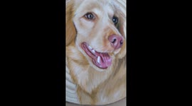UK artist paints adorable dog on wood slice with acrylic paint