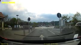 When Seagulls attack - A cat desperately runs away from a seagull whom is chasing him