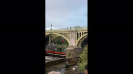 UK: Whale Stranded Under Bridge In Richmond Lock