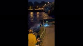 Rescuers free whale trapped at River Thames lock