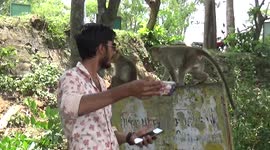 Monkey charges the one who came to take selfie with it while having its busy having its food in South India