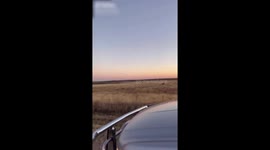 'Excuse Me, Deer Sir! You Can't Run from the Lord'