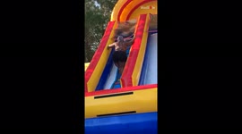 'What Goes Up Must Come Down... and Fly Off - Hilarious Slide Fail'