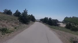 The cyclist nearly collided with a horse. Very lucky.