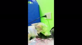 When It's Time that you should inside your House because of Quarantine