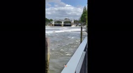 Thames whale spotted swimming upstream morning after rescue