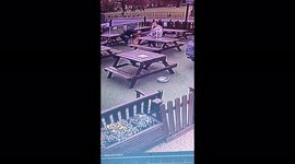Dog pulls owner off seat in beer garden