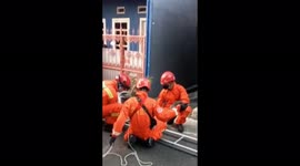 Evacuation of Cats from the Roofs of Residents in North Jakarta, Indonesia