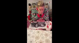 US woman has emotional reaction after being gifted portrait of late mother and best friend