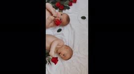 Twins playing with roses. Playing at home together . Twins boys