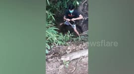 Cow rescued after getting stuck in muddy pond for five hours