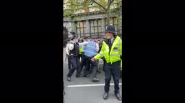 Violent clashes between protestors and police during the 'Free Palestine' protest in London