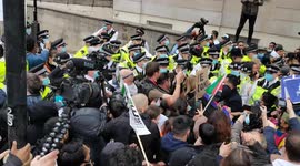 Violent scuffles between London police and protestors during Palestinian protest