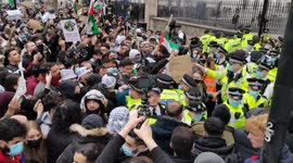 Violent scuffles break out between London police, Palestinian protesters during demonstration